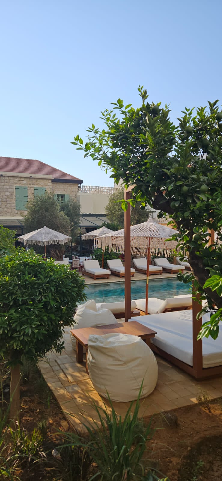 Cezanne - Dbayeh 5
